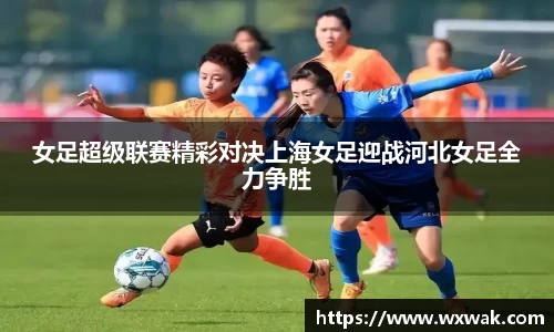 必一·运动(B-Sports)官方网站